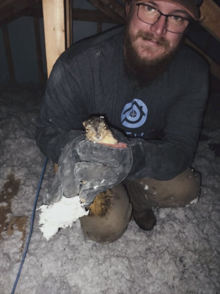Wildlife Control Michigan Township